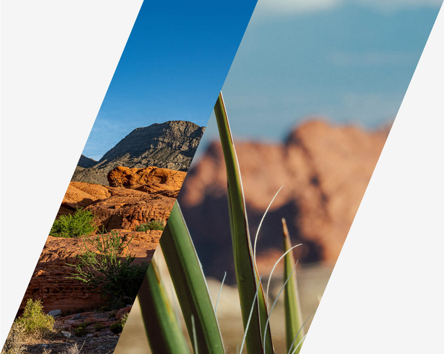 5_InspiresConservation