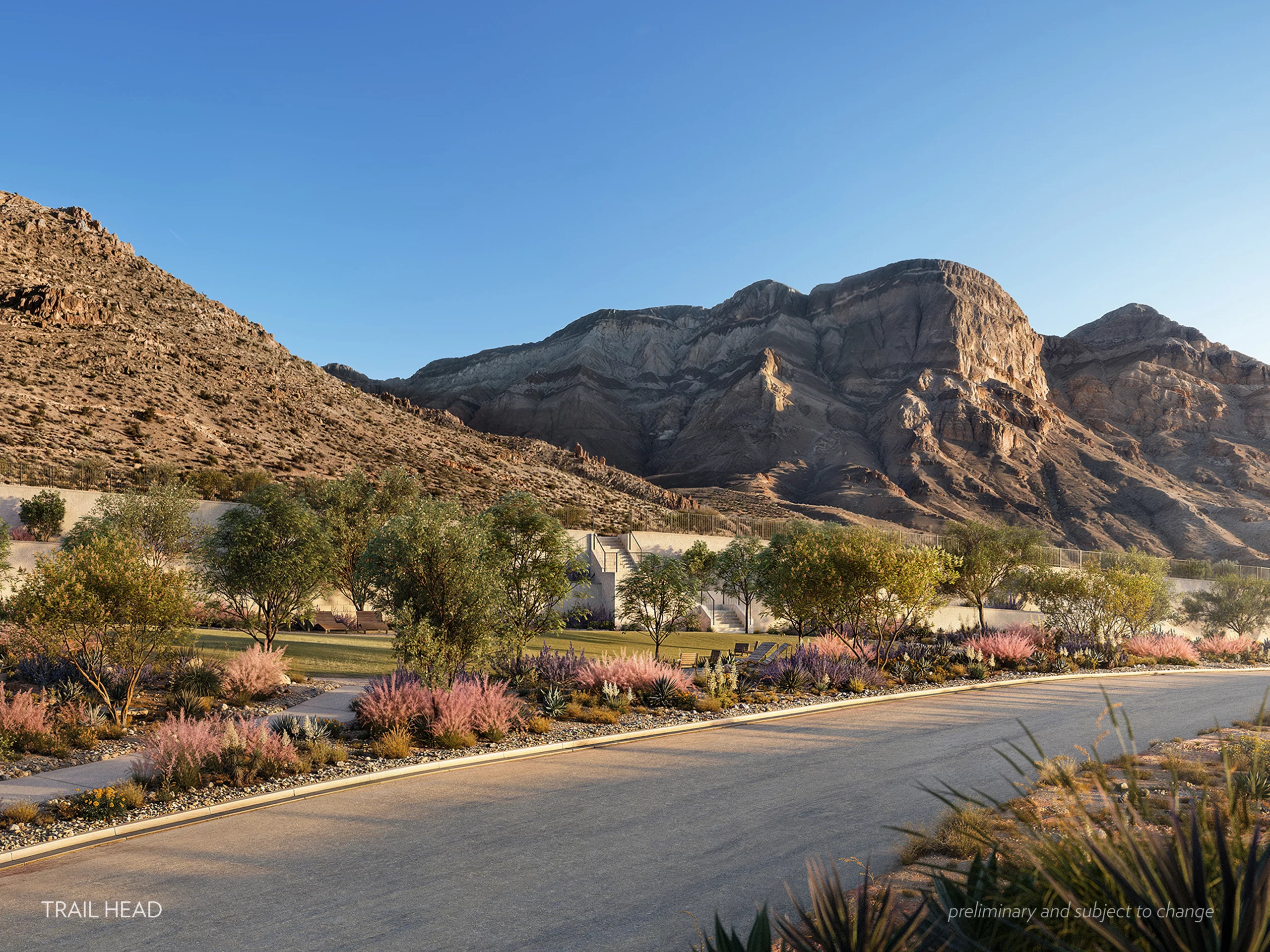 Trailhead_w_Caption A paved road curves through a landscaped desert estate with shrubs and purple flowers, set against Nevada’s rocky mountains under a clear blue sky. Low sunlight casts warm light on the scenic lots.